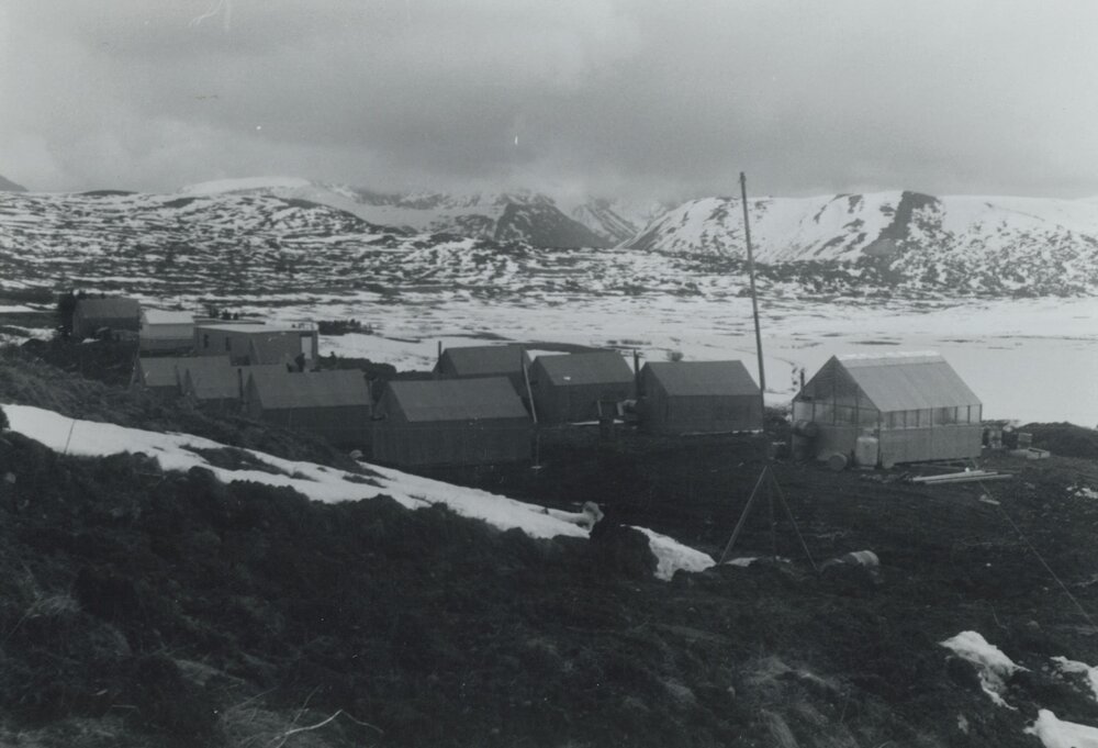 The Canex Placer exploration camp, Northwest Territories, summer 1973