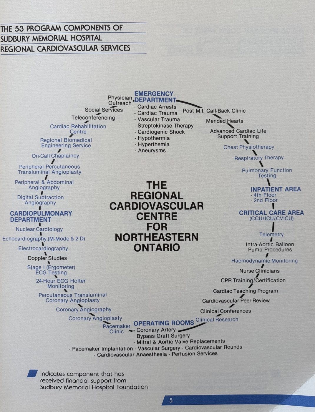 The 53 Program Components of the Regional Cardiovascular Services, with Foundation-funded components marked in blue